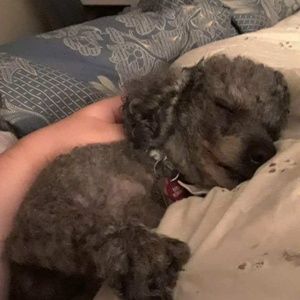 Meet your Posher, Jilon